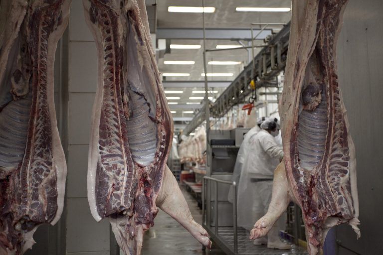 Singapur habilitó la exportación para la carne y productos porcinos argentinos