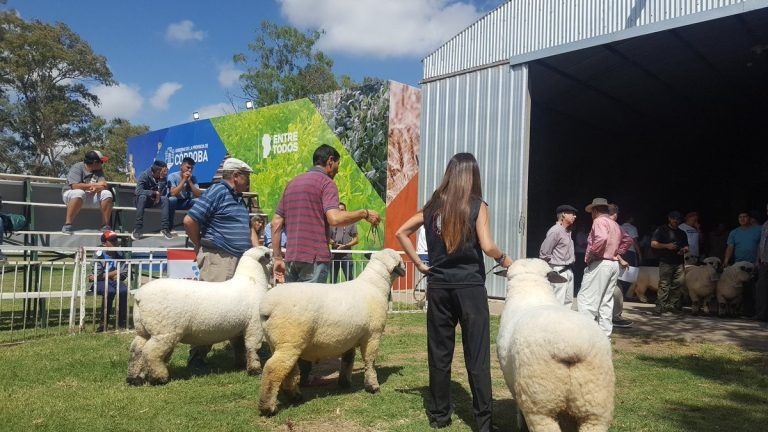 Se viene el 2° Congreso Internacional de Producción Ovina
