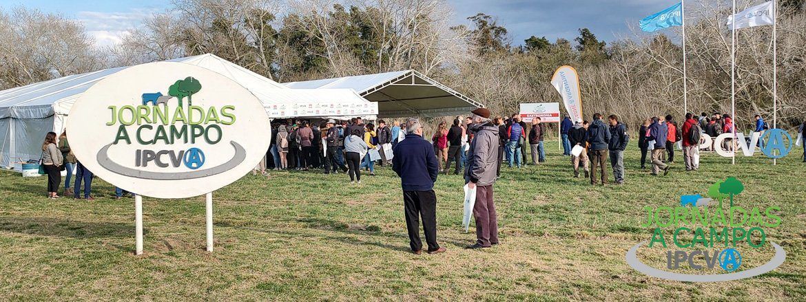 Jornada a Campo IPCVA: Secretos para alcanzar más kilos de carne en la Cuenca del Salado