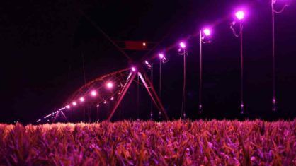 Innovación de riego «con luz», uno de los atractivos en el Encuentro de INTA Manfredi