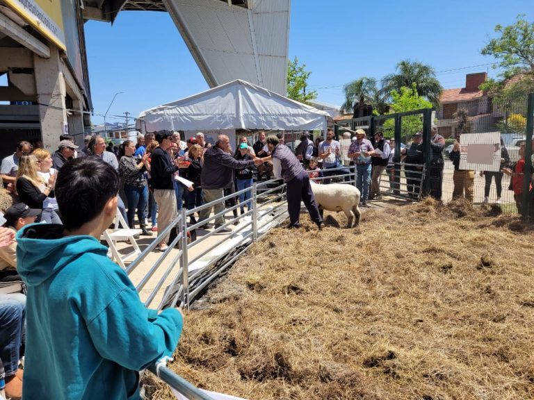 Con Jura de Clasificación y Remate concluyó la Fiesta del Cordero Cordobés