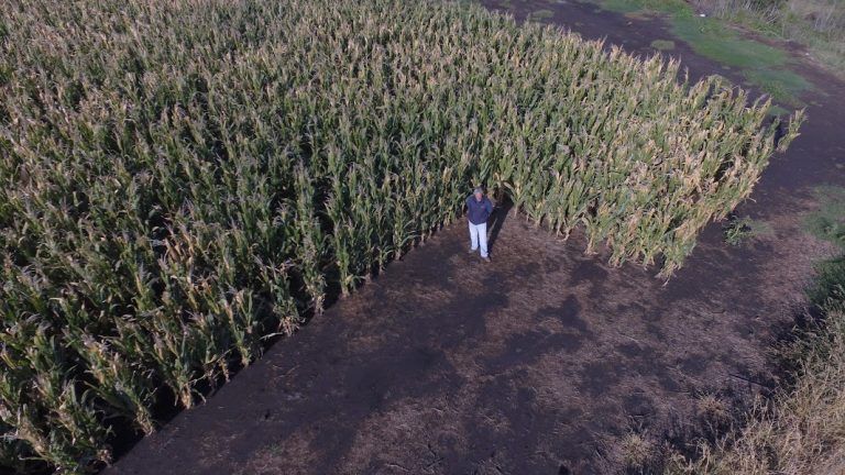 Reinventar la sostenibilidad desde todos los campos