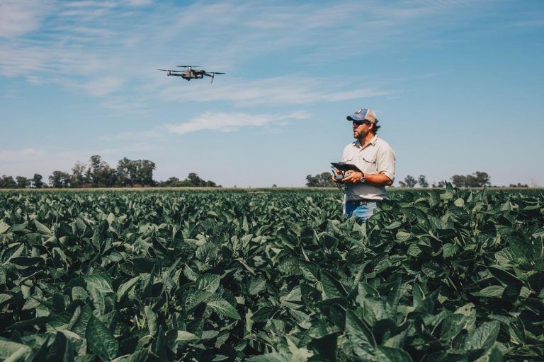 Ante la sequía, la tecnología es la gran herramienta para la soja tardía