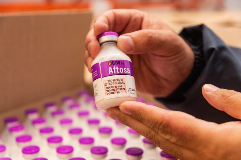 Laboratorio CDV exportó 6.000.000 de dosis totales de vacunas contra fiebre aftosa e ingresa a nuevos mercados