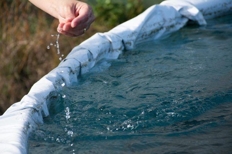 Agua, un recurso clave en períodos de estrés calórico