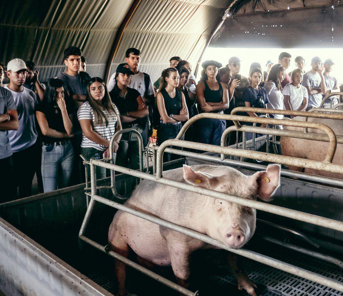 El Campo Escuela de FCA recibió a los ingresantes 2023