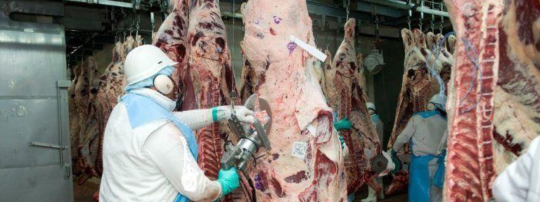 IPCVA: Exportaciones de diciembre con precios más bajos