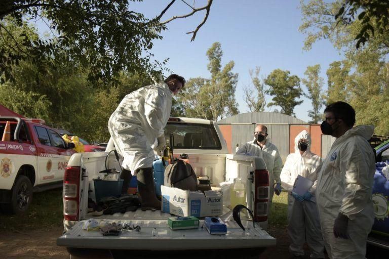 Nuevos casos positivos de influenza aviar en aves de traspatio en Córdoba