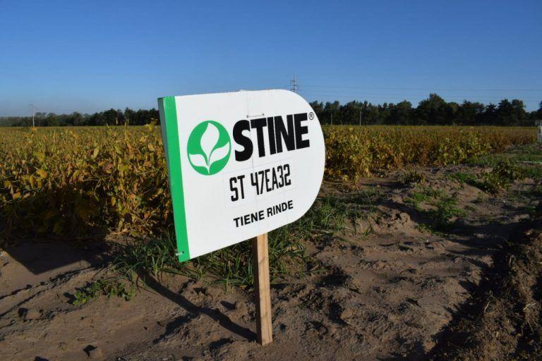 ExpoStine presenta novedades en Maíz y Soja en General Cabrera