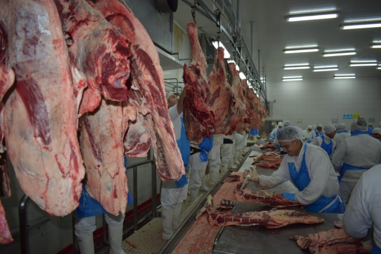 Informe Rosgan: advierten por una mayor dependencia de China en la exportación de Carnes