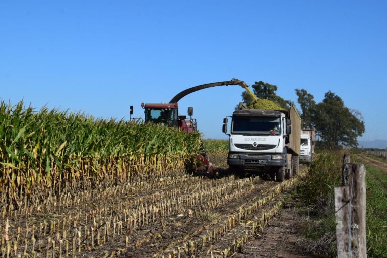 Ag Barometer Austral: La confianza de los productores tuvo la peor caída desde Julio de 2019
