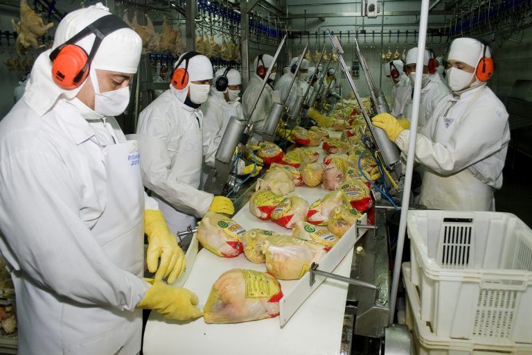 La Argentina recupera mercados de exportación para sus productos avícolas