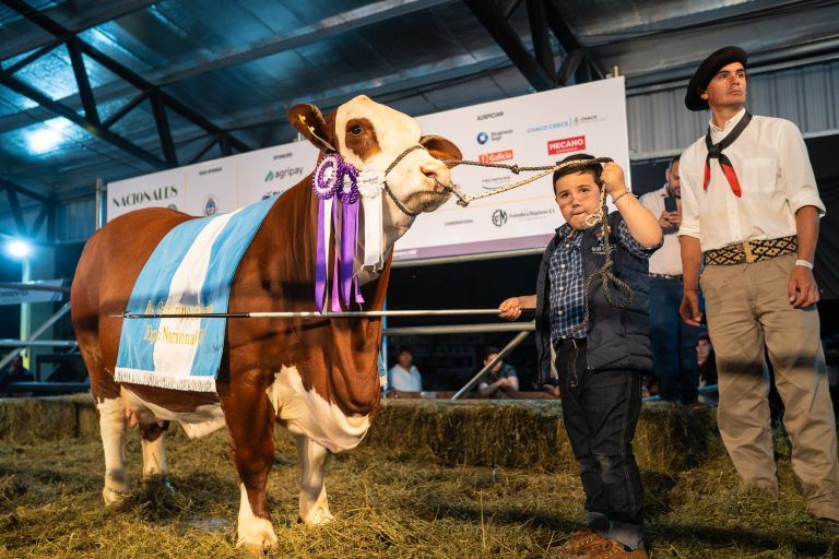Las Nacionales Braford y Brahman cerraron con el Gran Remate de Campeones