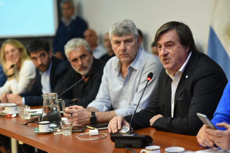 Influenza aviar: Presentaron situación en la Comisión de Agricultura de Diputados