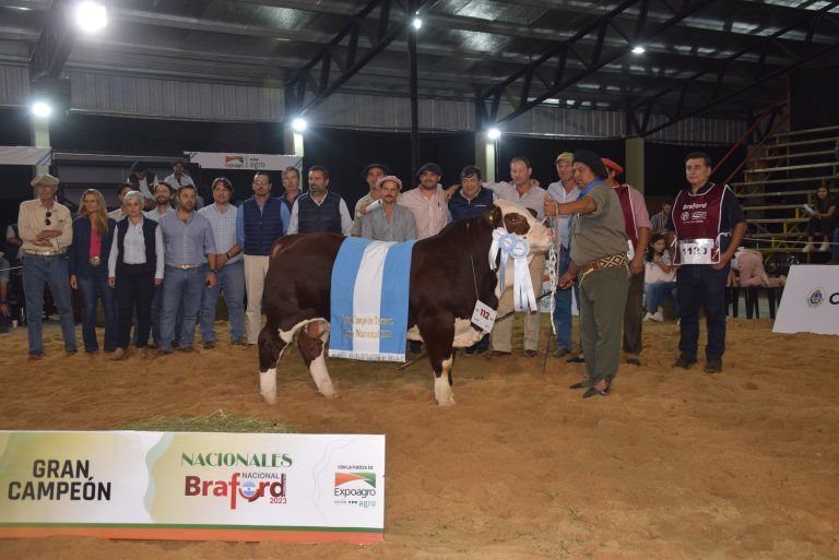 El Concurso de Terneros Braford ratificó el excelente momento de la raza