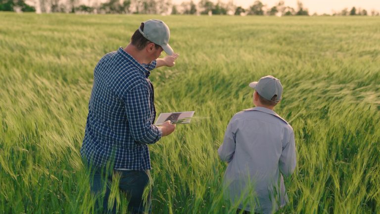 Nera y sus soluciones digitales para los productores en Agroactiva: Finanzas y coberturas de seguro 100% online