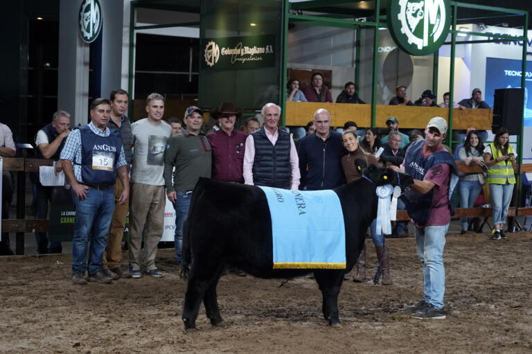 Expo Angus de Otoño: La mejor ternera negra fue de Olavarría y la colorada de Vedia
