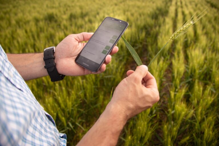 El camino de la Transformación del campo y el aporte de la Inteligencia Artificial