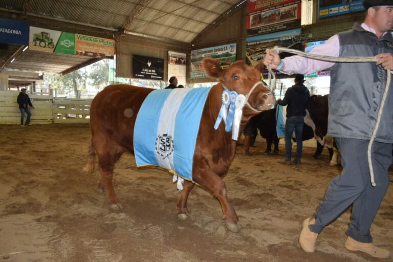 Presentaron la 76°Exposición Rural, Ganadera e Industrial de Jesús María