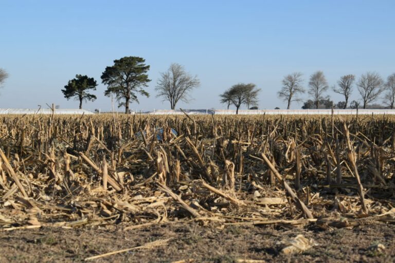 Aapresid: El desafío de ser sustentables en campos alquilados