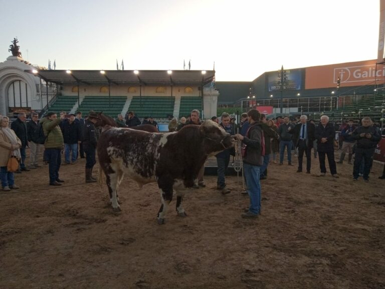 La Expo Rural 2023 puso primera con el ingreso de los primeros animales