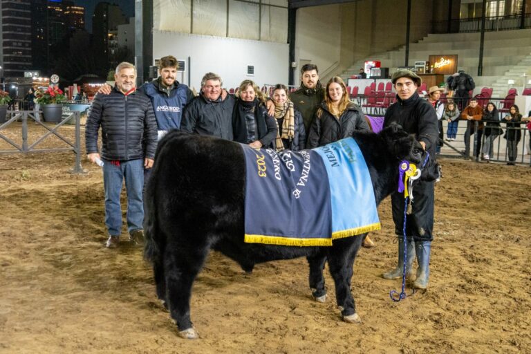 Angus: El Gran Campeón ternero fue para Indio Nuevo y la Gran Campeón Ternera para Spinella