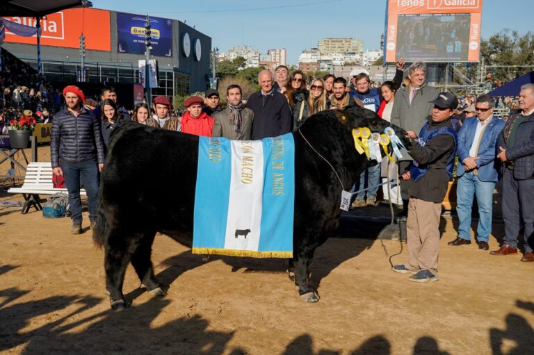 Expo Rural de Palermo: El Gran Campeón Macho fue para Arandú y el Reservado para Tres Marías