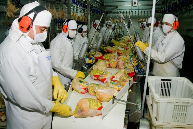 El Gobierno abrió el mercado de Filipinas para exportar carne aviar, porcina y nuevos productos de carne bovina