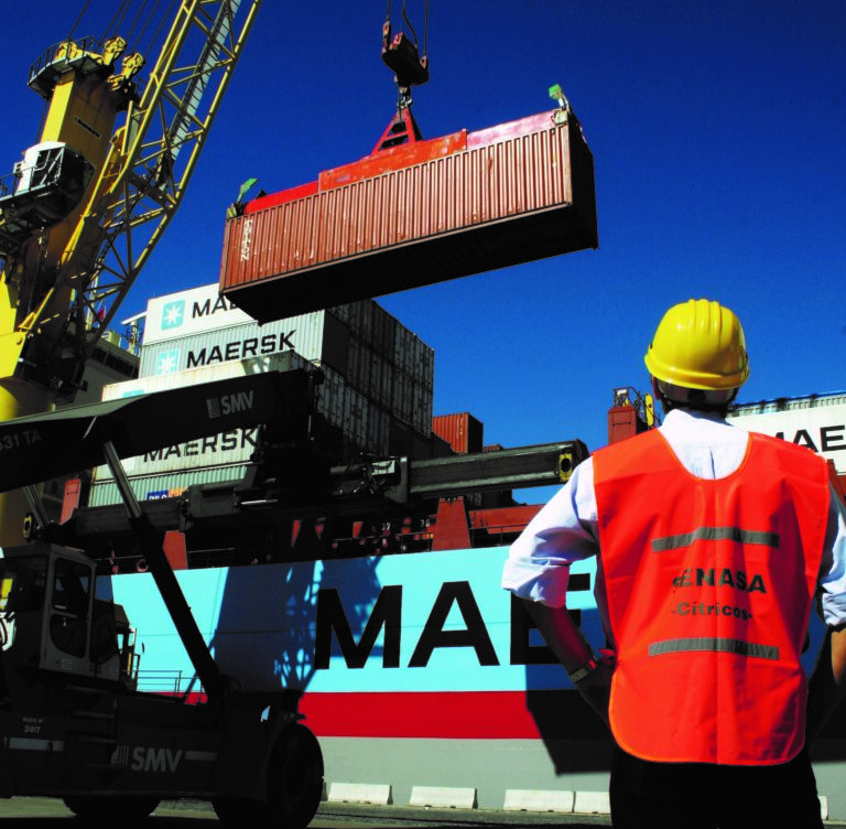 En los últimos diez meses se habilitaron 30 mercados para exportar más de 40 productos argentinos