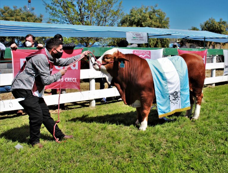 La Expo de la Sociedad Rural de Jesús María prepara una nueva edición con fuerte actividad ganadera