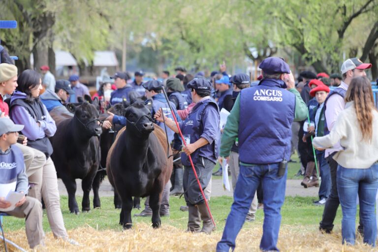 Genética y oportunidades, dos puntos destacados en la Expo Angus de Primavera