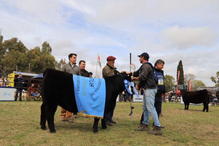 Arandú y Don Romeo, las cabañas con los premios más importantes en la Nacional del Ternero Angus