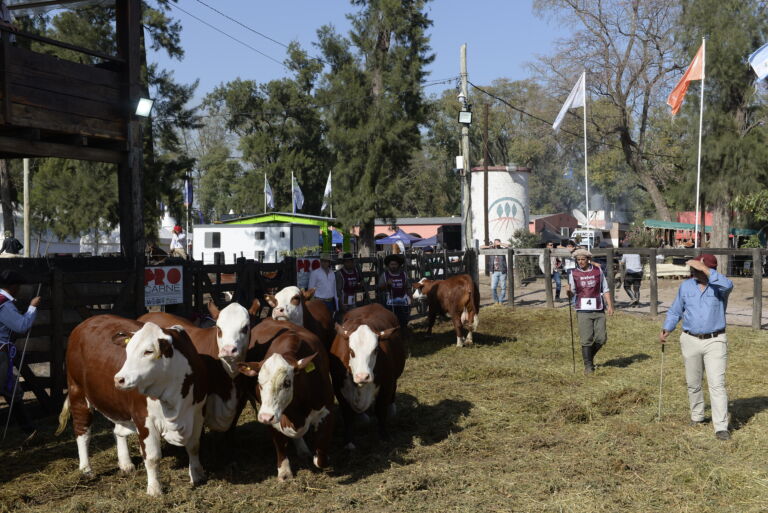 ExpoBra: El Gobernador de Santiago del Estero dijo que las puertas están abiertas a la inversión