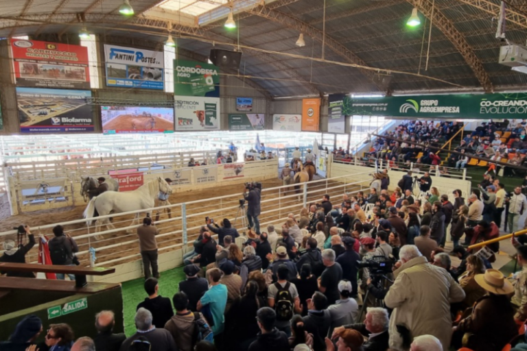 El Ministerio de Agricultura dice presente en la Expo Rural de Jesús María