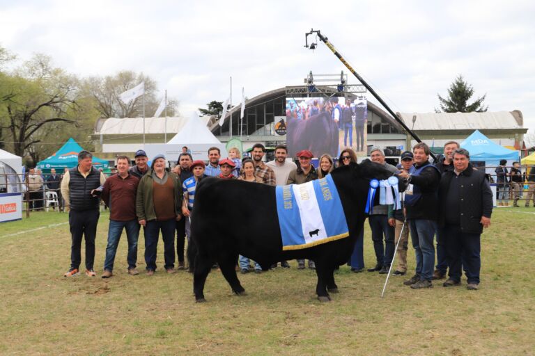 La Nacional Angus de Primavera consagró a sus Grandes Campeones