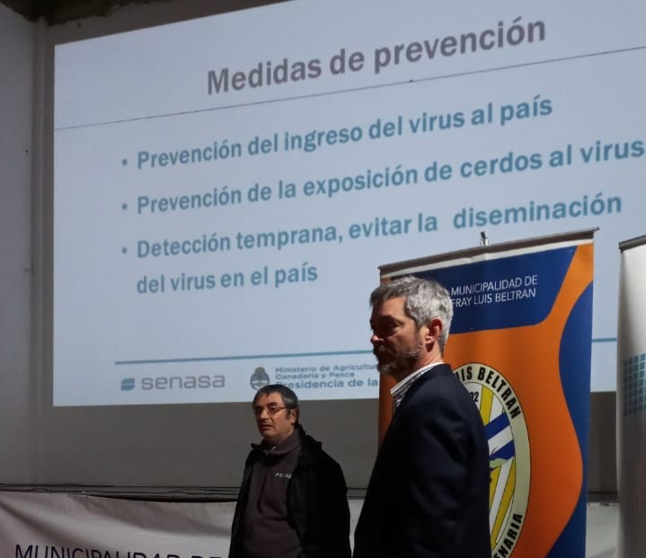 Buscan fortalecer medidas de prevención para evitar el ingreso de la Peste Porcina Africana