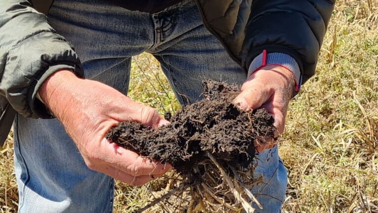 Organización sin fines de lucro evalúa desempeño de empresas agrícolas con la sostenibilidad