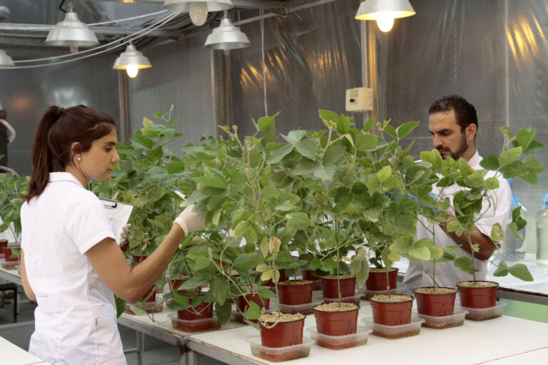 El auge de los productos biológicos, un mercado que crece 15% por año en Argentina