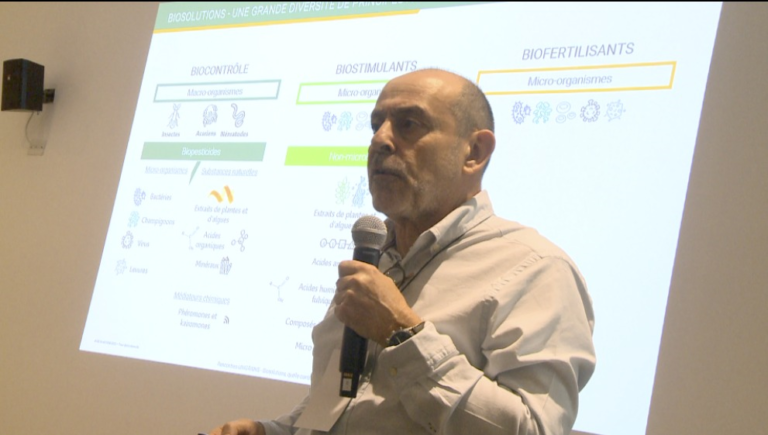 Casafe analizó los claroscuros del plan de Europa para reemplazar agroquímicos por bioinsumos