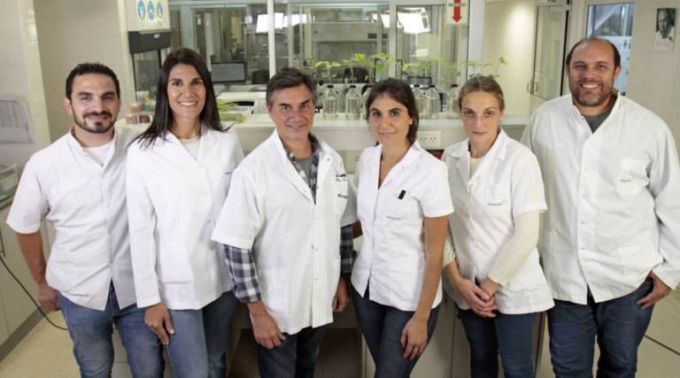 Avance científico argentino mejora la logística de siembra de Soja en Brasil