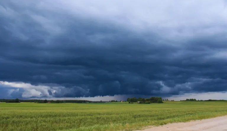 Tras las precipitaciones el nivel de humedad en el suelo predomina en la región núcleo
