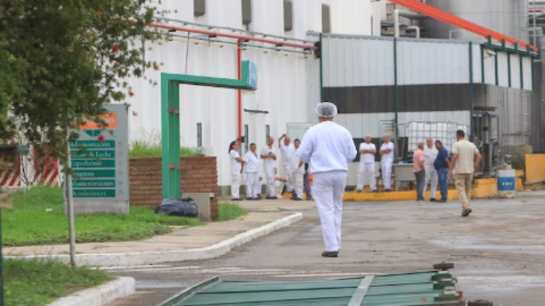 La Lácteo se encuentra en una situación crítica tras la paralización de actividades