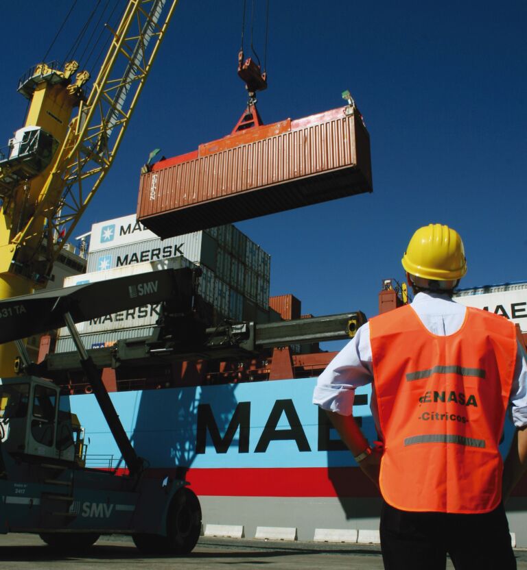 Estudio de la Bolsa de Cereales de Córdoba revela que Córdoba es la tercera provincia exportadora