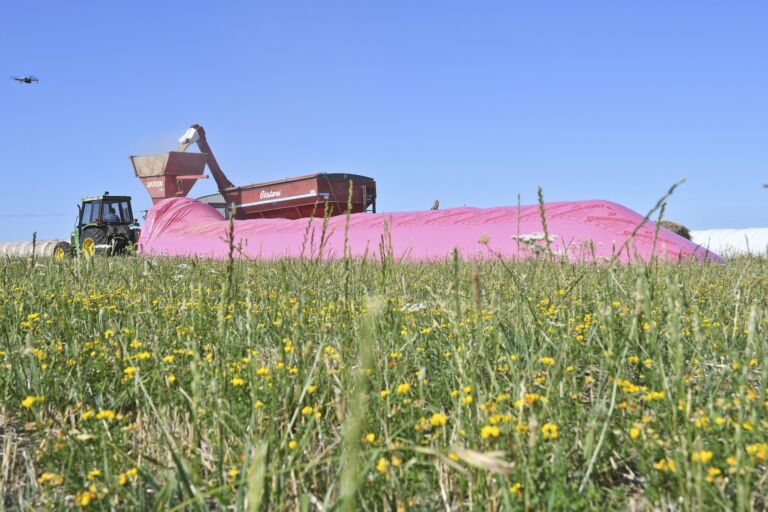 El agro argentino mostrará en Expoagro su aporte en la lucha contra el cáncer