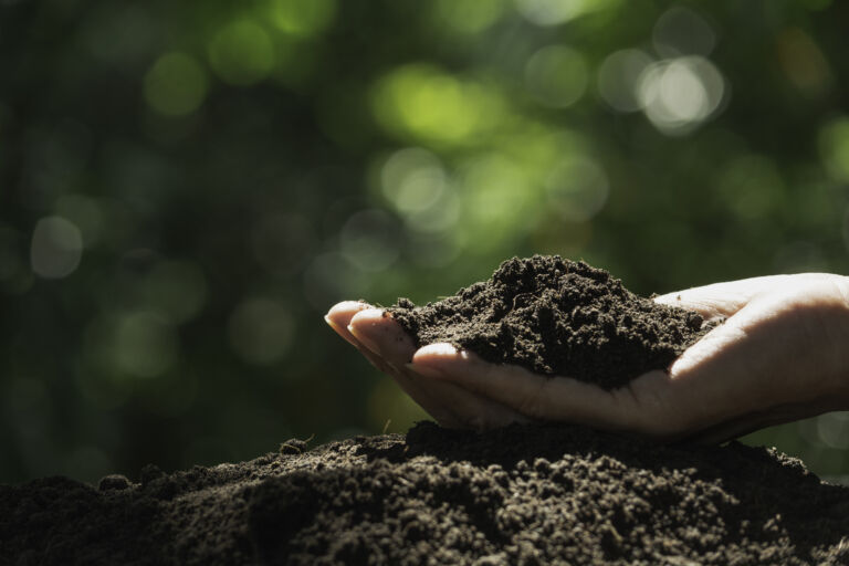 Agricultura regenerativa, herramienta clave como solución ante el cambio climático