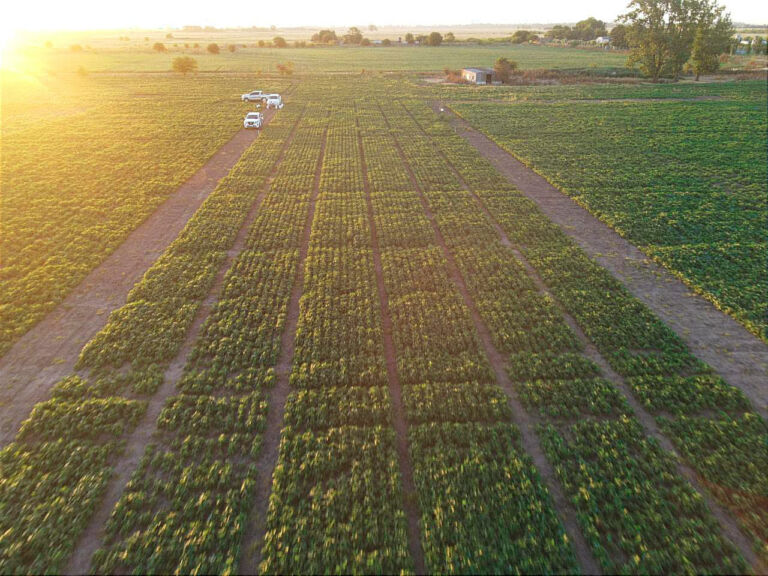 El Grupo Indecar suma a Stine y a Bioceres a su proyecto de Centro Agrotecnológico Experimental