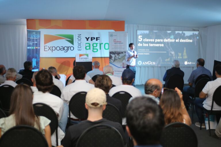 En el último día de Expoagro, la raza Angus acaparó la atención del sector ganadero