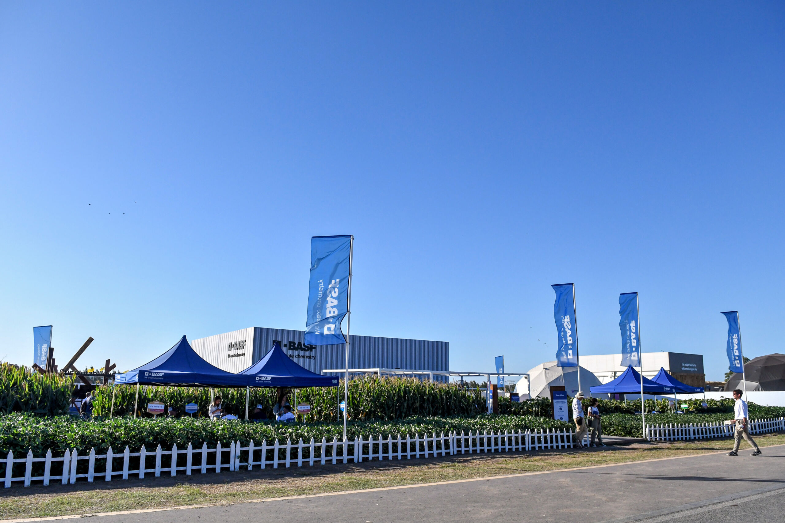 La fuerte apuesta de BASF en Expoagro: más productos para una agricultura sustentable