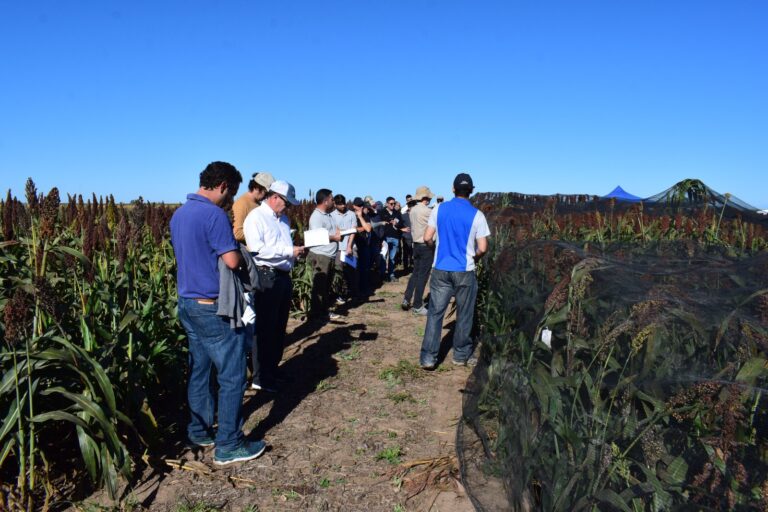 Colegio de Ingenieros Agrónomos presenta Formación Continua con Beneficios para Matriculados