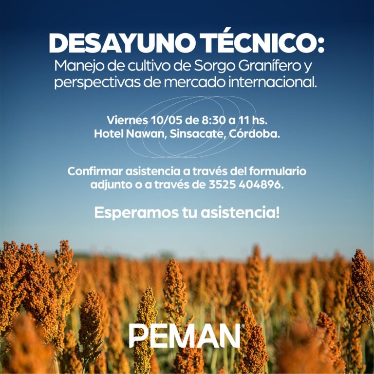El Sorgo, con mirada Técnica y Comercial: Gran convocatoria de capacitación de Peman Semillas